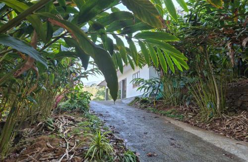Udumbanchola House | Anivilla Holiday Home Kunjithanny