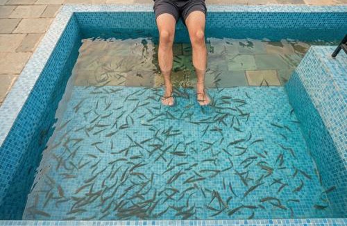 Palakkad Resort | Aqua Heaven Resort