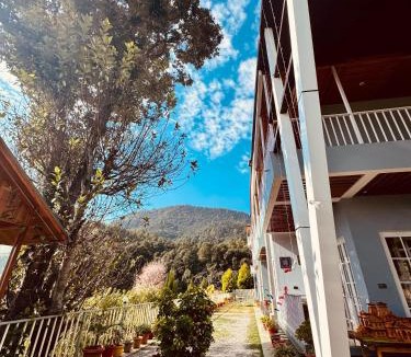 Pithoragarh Hotel | Aranya wood resort