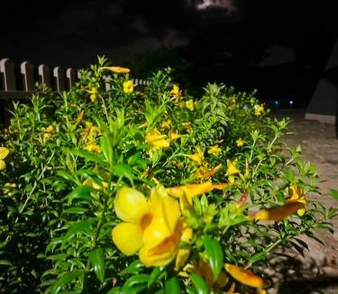 Bhor Resort | aryaneel resort