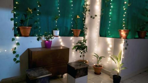 Bilaspur Apartment | Avenaa 2BHK Flat The Cozy Crest Bilaspur