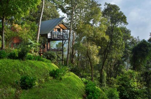 Pottankadu Resort | Bamboo Dale Resort & Spa Munnar by Stride