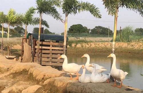 Jalandhar House | BASK Country Retreat - FARMSTAY
