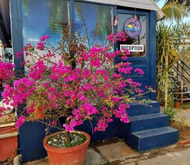 Anjuna Hotel | Bay View Resort