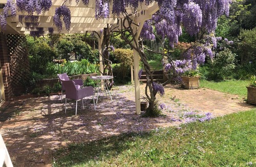 Moss Vale Bed & Breakfast | Beautiful Daffodil Suite at Highland Garden Hideaway
