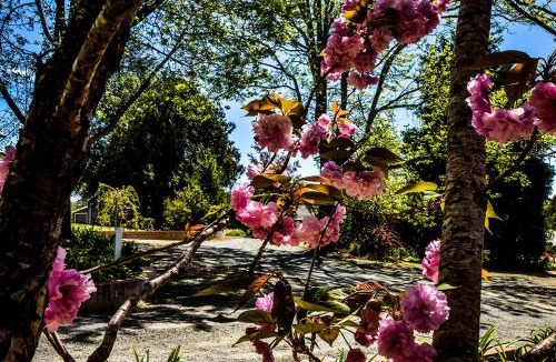 Bundanoon Bed & Breakfast | Bundanoon Lodge
