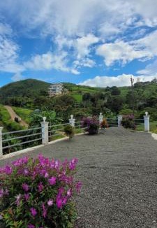Thankamony part House | Calvary Mount MISTYBREEZE HOLIDAY HOME