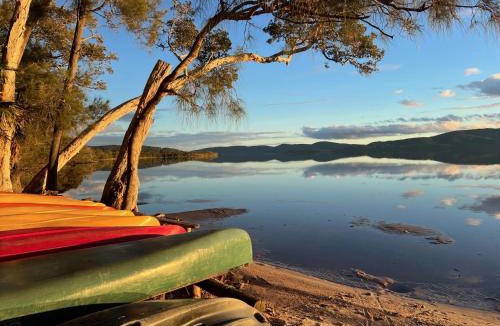 Forster Other | Camp Elim