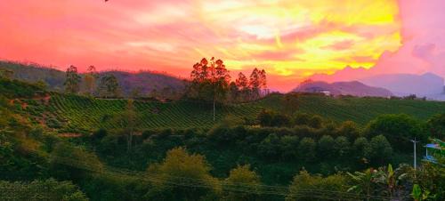 Munnar House | CARMEL HOME STAY