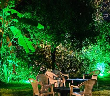 Bali House | Chandras palace hotel kothar