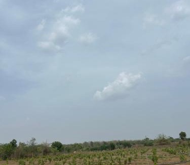 Kalmeshwar House | Chaudhari farms & Agrotourism