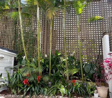 Kings Cross Apartment | City Secret Garden House in Sydney