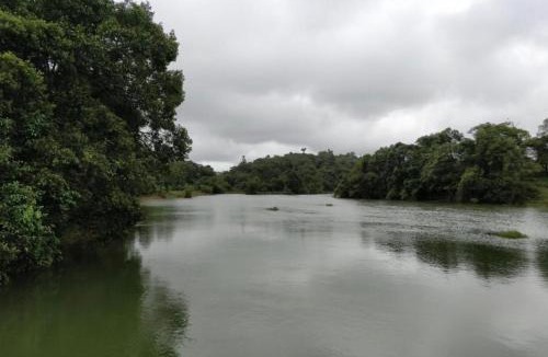 Stuart Hill House | Coorg Hidden Valley Estate Stay