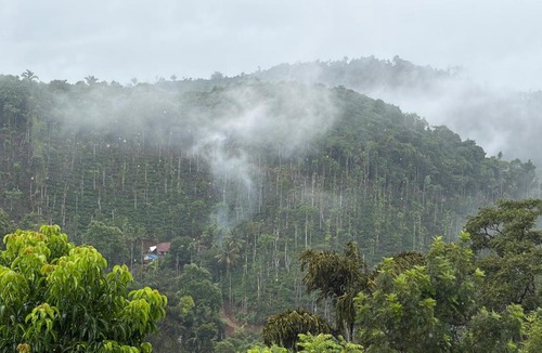 Madikeri House | Coorg royal stay home stay