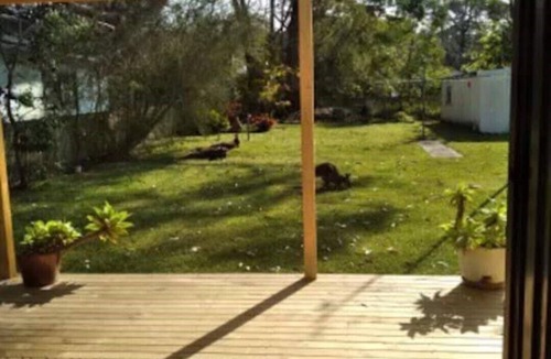 Cudmirrah House | Cosy two bedroom bungalow close to lake and ocean