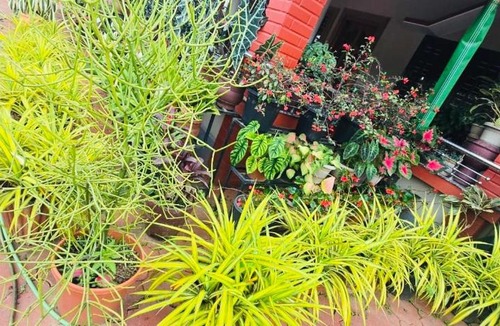 Madikeri House | Cozy Coffee Estate Homestay Coorg Madikeri
