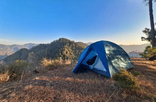 Shimla Other | Delicate camp