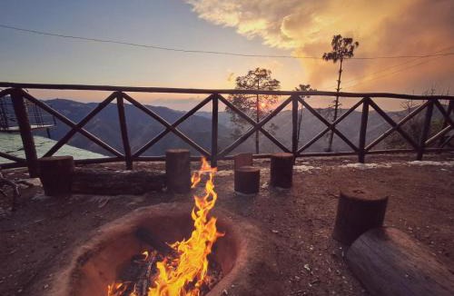 Shimla Other | Delicate camp