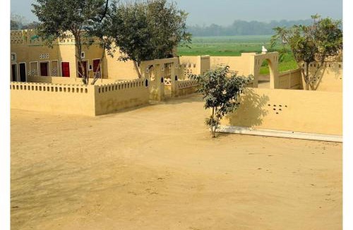 Sirhind Villa | Destination Of Art-Best Photography Place In Fatehgarh