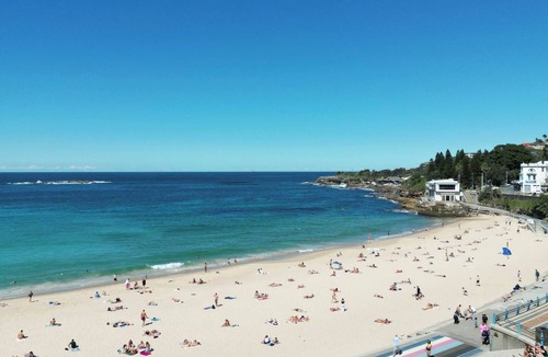 Coogee Apartment | Dog Friendly Apartment in Mad Monkey Hostel, Coogee Beach
