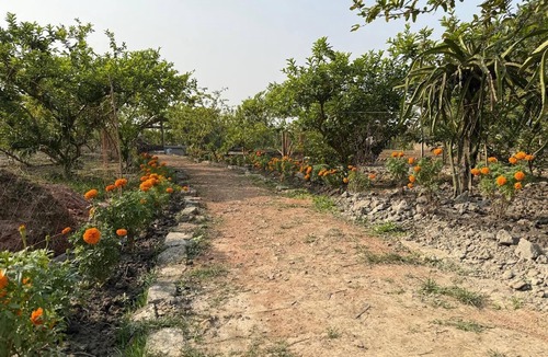 Kolkata Hotel | Dragon Fruit Farm Stay