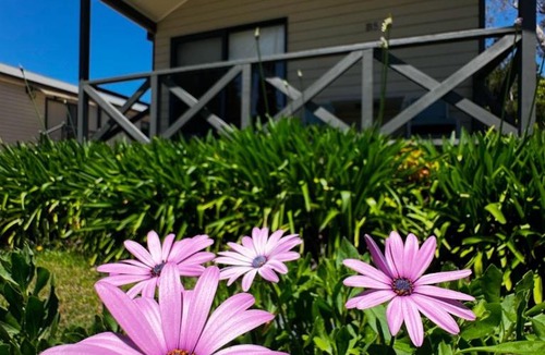 Sutton Resort | Eaglehawk Park Canberra