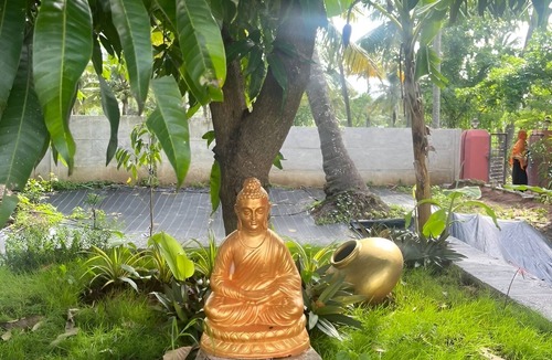 Chittur Bed & Breakfast | Essaar punnot Farmstay resort