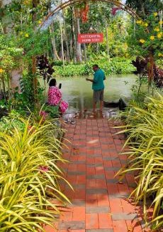 Arpookara Hotel | Families Couples Friendly Stay Pool Day Ettumanoor Thellakom 7994!64950