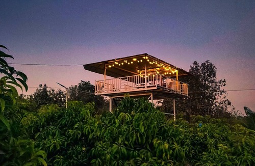 Vada Other | FARM STORY - 3 BHK villa with swimming pool
