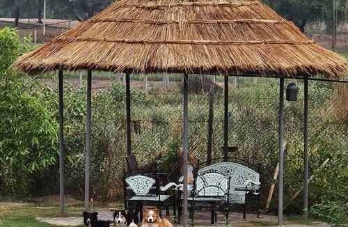 Jaipur House | Farmstay in Jaipur, Kalwar