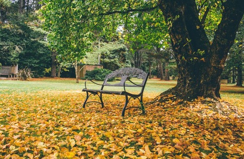 Blackheath Cabin | Federation Gardens & Possums Hideaway