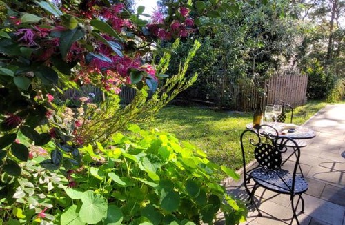 New Lambton Heights Apartment | Garden Rest
