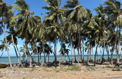 Rameshwaram Resort | Harish Beach Resort
