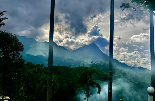 Chooralmala Resort | Hayashi Resort