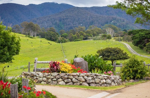 Central Tilba Cabin | Henkley Cottage 4 - Daniel