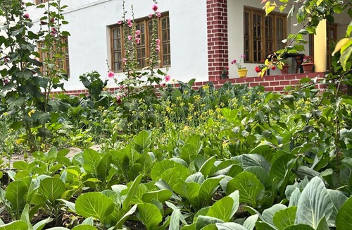 Hunder House | Himalayan Bloom Guest House ,Hunder Nubra Valley