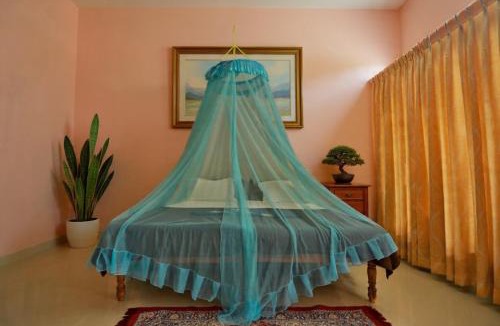 Thiruvananthapuram Hotel | Hotel Cocobeach Kovalam