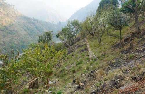 Dunda Hotel | Hotel Ganga Abhishek and Restaurant