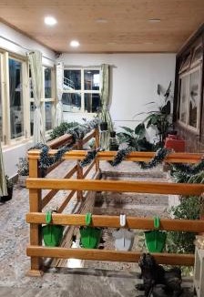 Pelling Hotel | Hotel Kabur