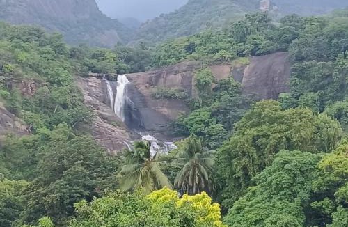 Courtallam Hotel | HOTEL KURINJI , Unit of Kurinji Villa Tourist Home