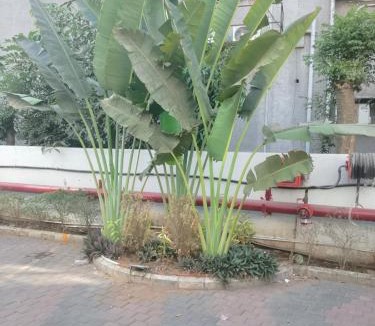 Ankleshwar Hotel | Hotel Mahavir