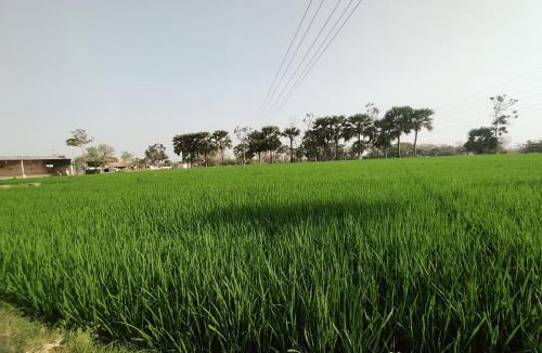 Sirsilla House | Hotel Moturi Farmstay Vemulawada