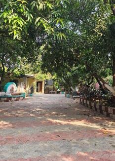 Talala House | Hotel Saffron Indian Spice Resort
