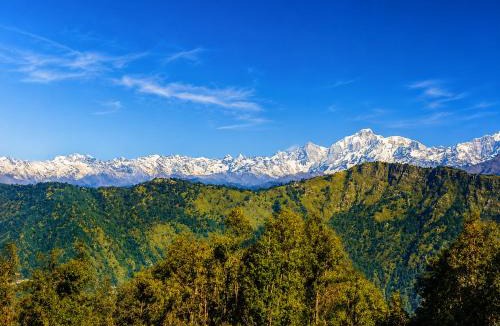 Ukhimath Hotel | Hotel Vidya Om Palace kedarnath road