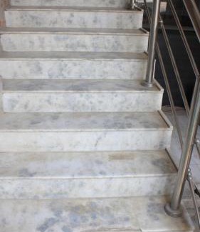 Rajgir Hotel | Hotel Vijay