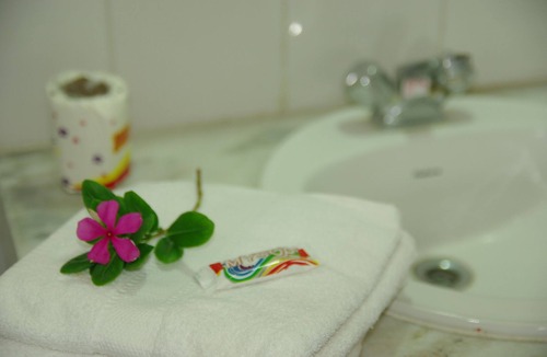 Khajuraho Hotel | Hotel Zen