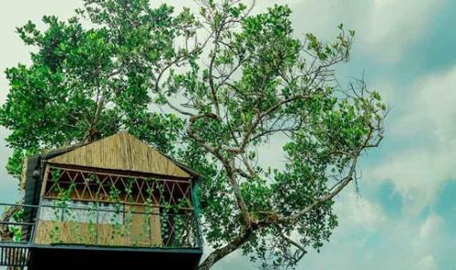 Pirmed Apartment | ILA Homestay