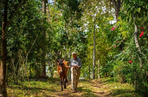 Dindigul Resort | Isla's Ridge - A CGH Earth SAHA Experience