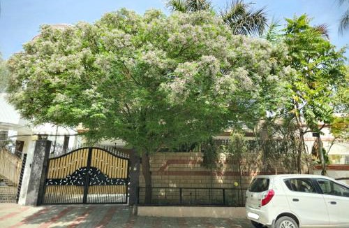 Ranjit Avenue House | Kanwar Homestay
