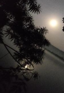 Wadgaon Resort | Kanzar Paradise - Serene Tranquility